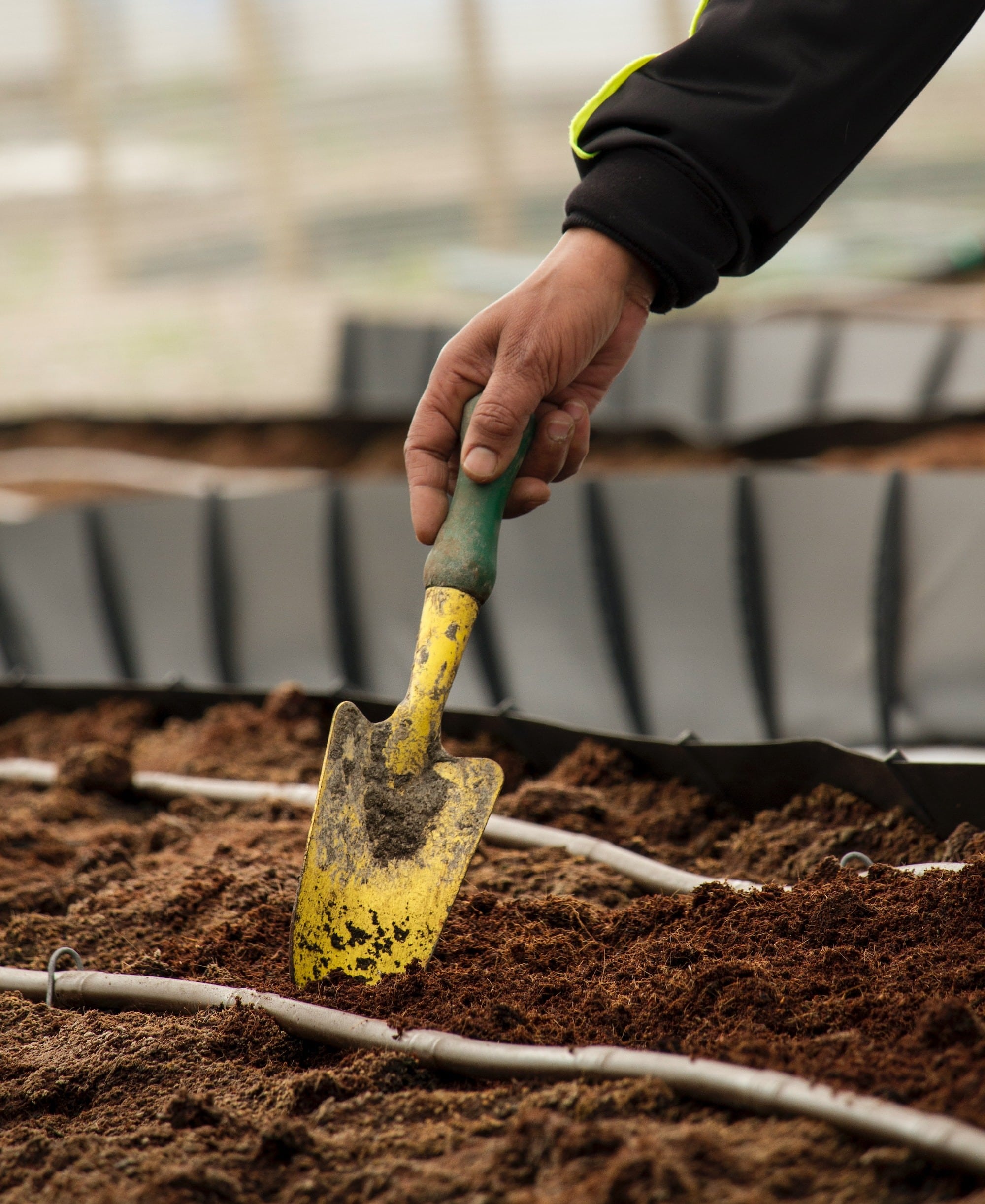 Photo of gardening trowel in soil 