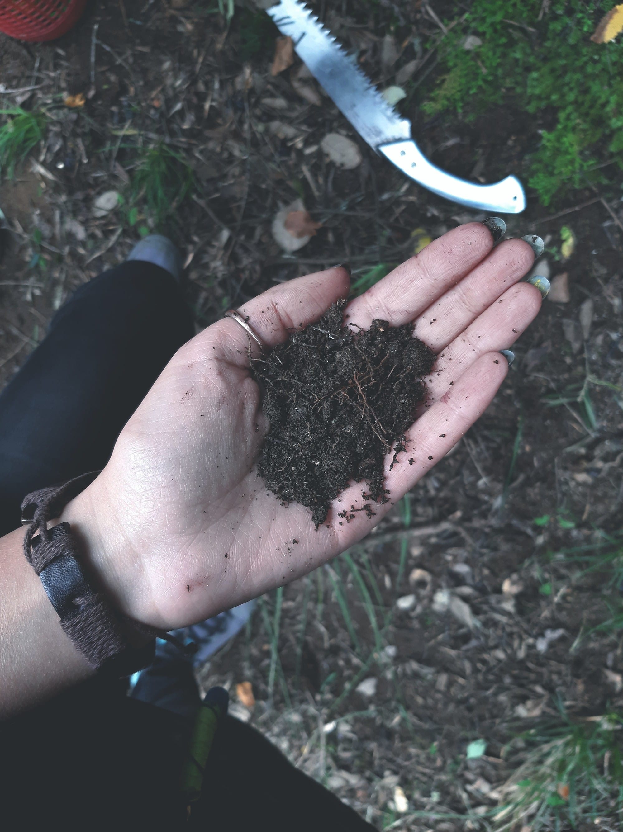 Photo with hands holding soil 